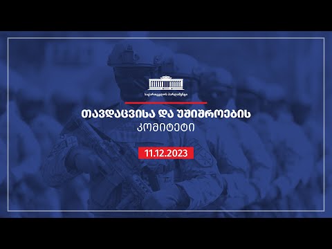 თავდაცვისა და უშიშროების კომიტეტის სხდომა -  11.12.2023